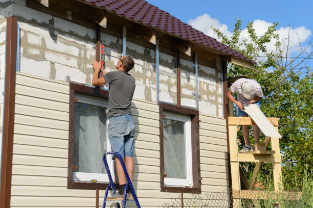 Best Stone Veneer Siding  in Kenai, AK
